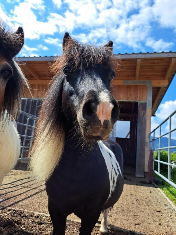 Berggasthof Karlbauer Lendorf Kültér fotó